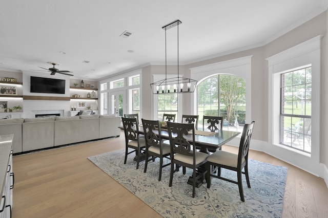15203 Wildwood Cir, Magnolia, TX 77354 - dining space featuring healthy amount of natural light, a fireplace, light wood finished floors, ornamental molding, and a ceiling fan