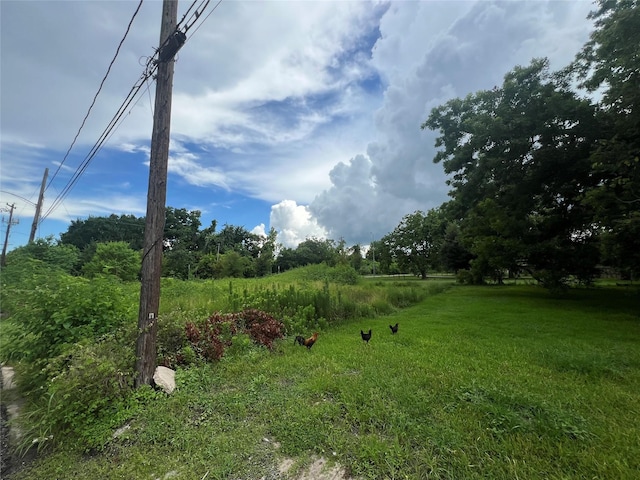 3114 Rosalie St, Houston, TX 77004 - photo 9