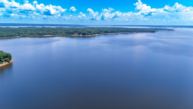 169 N County Road 4945, Etoile, TX 75944 - drone / aerial view of a nearby body of water and a forest