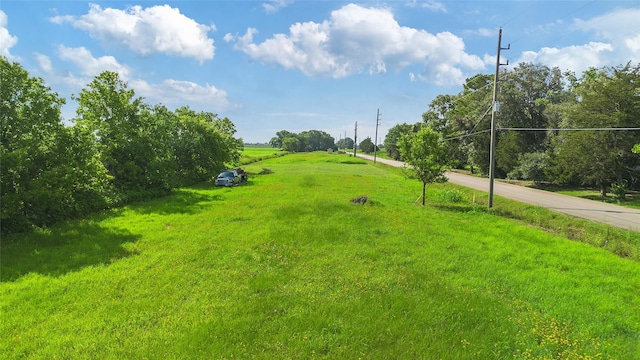 14015 Market Ln, Guy, TX 77444 - photo 7