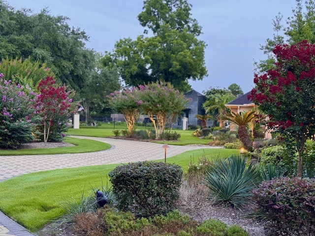 9603 Stonebridge Pl, Tomball, TX 77375 - view of community with a lawn