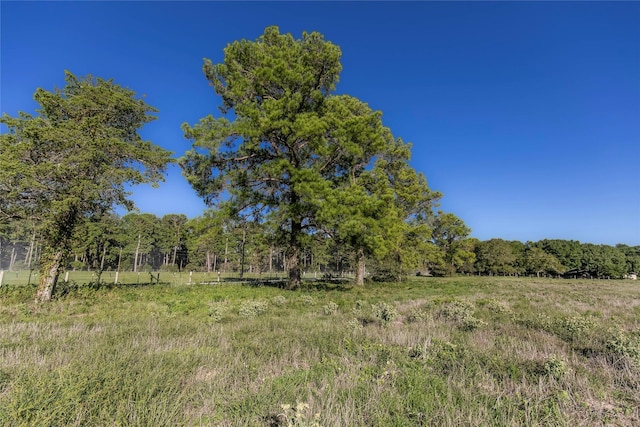 TRACT2 Nelius Rd, Bellville, TX 77418 - photo 1