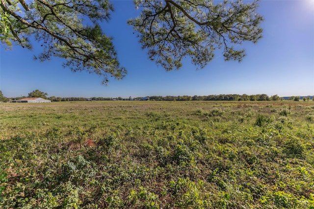 TRACT2 Nelius Rd, Bellville, TX 77418 - photo 2