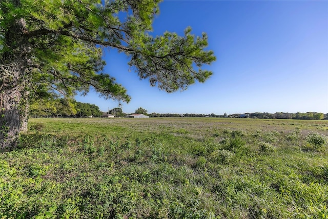 TRACT2 Nelius Rd, Bellville, TX 77418 - photo 3