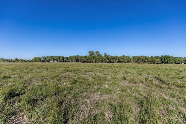 TRACT2 Nelius Rd, Bellville, TX 77418 - photo 4