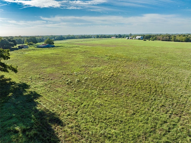 TRACT2 Nelius Rd, Bellville, TX 77418 - photo 5