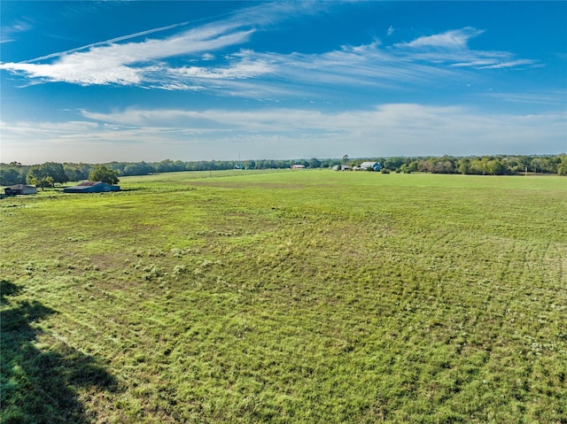 TRACT2 Nelius Rd, Bellville, TX 77418 - photo 6