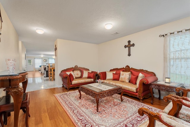 16307 Melody View Ct, Cypress, TX 77429 - living room featuring light wood-style floors