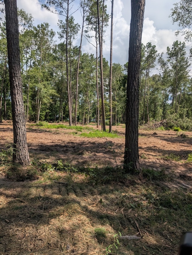 00 Dulaney St, Splendora, TX 77372