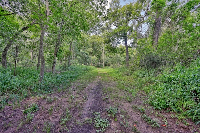 39577 Mesquite Dr, Hempstead, TX 77445 - view of woods
