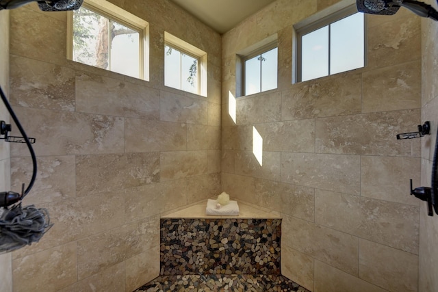39577 Mesquite Dr, Hempstead, TX 77445 - full bath with tiled shower