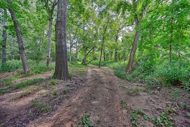 39577 Mesquite Dr, Hempstead, TX 77445 - view of dirt / gravel road featuring a forest view