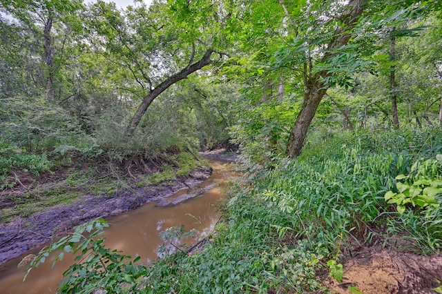 39577 Mesquite Dr, Hempstead, TX 77445 - view of yard