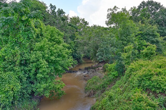 39577 Mesquite Dr, Hempstead, TX 77445 - water view