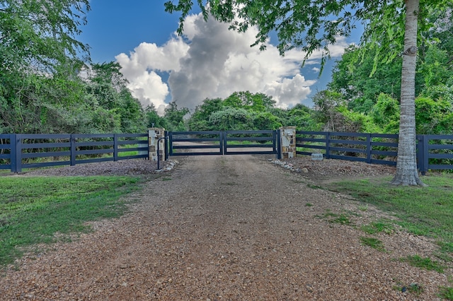 39577 Mesquite Dr, Hempstead, TX 77445 - view of gate