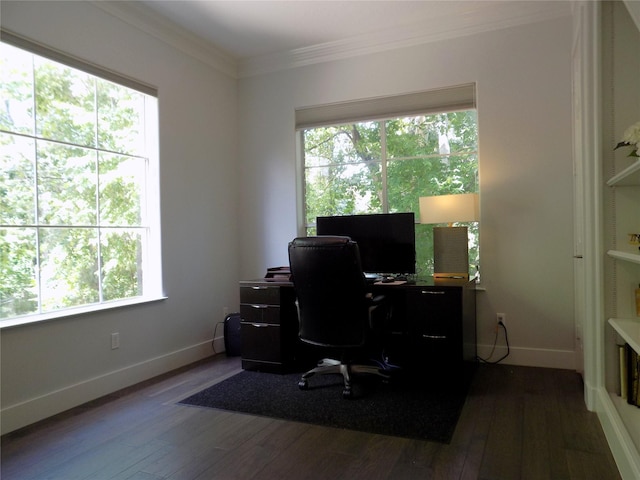 12636 Briar Patch Rd, Houston, TX 77077 - office area featuring healthy amount of natural light, dark wood-type flooring, and crown molding