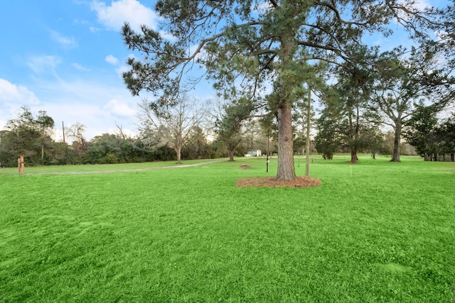 16631 Fm 2920th Rd, Tomball, TX 77377