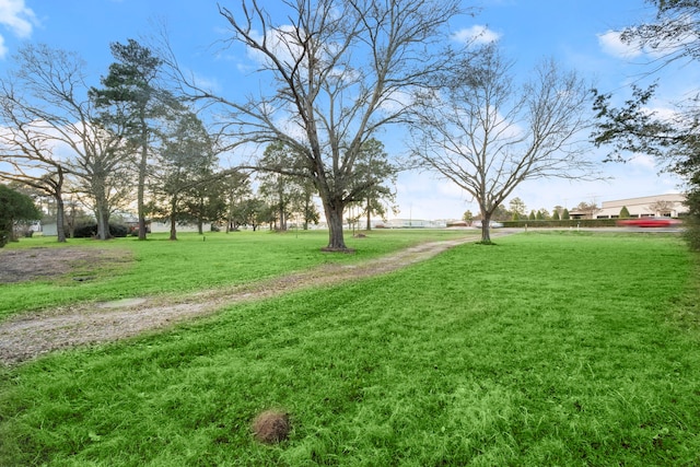 16631 Fm 2920th Rd, Tomball, TX 77377