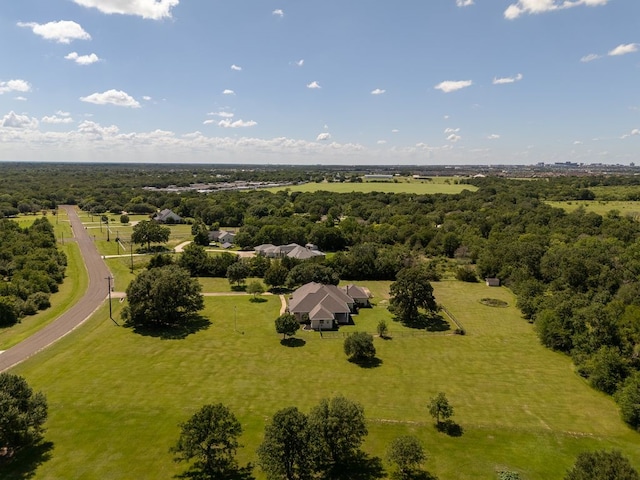 13567 Alacia Ct, College Station, TX 77845 - photo 47