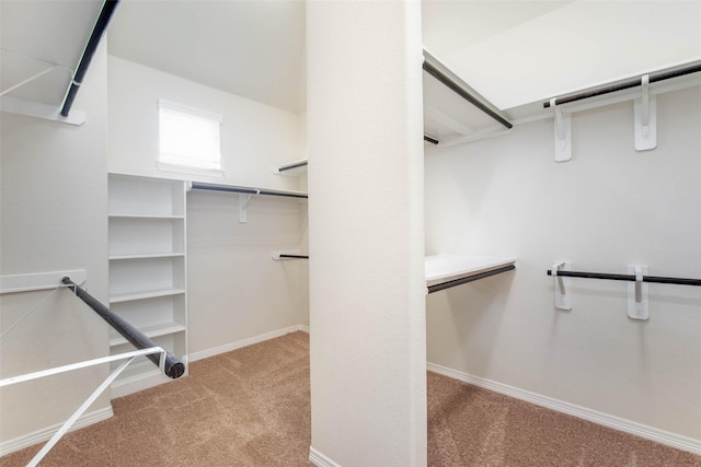 2710 Shadybrook Meadow Dr, Houston, TX 77080 - photo 23