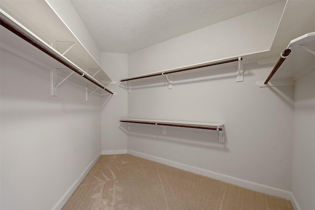 13819 Threadall Park Dr, Houston, TX 77077 - photo 13