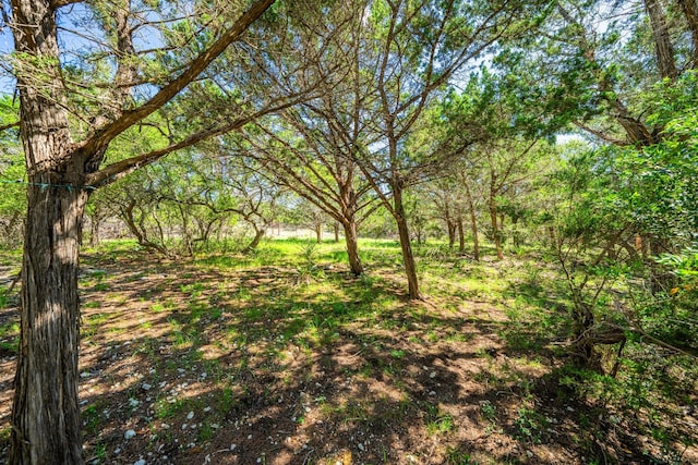 172 Candy Rd, Pipe Creek, TX 78063 - view of yard