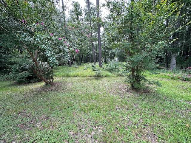 3779 Spring Dr, Huntsville, TX 77340