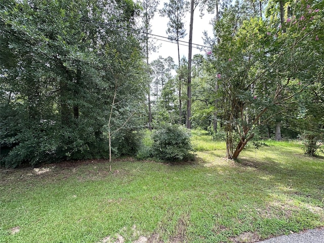 3779 Spring Dr, Huntsville, TX 77340