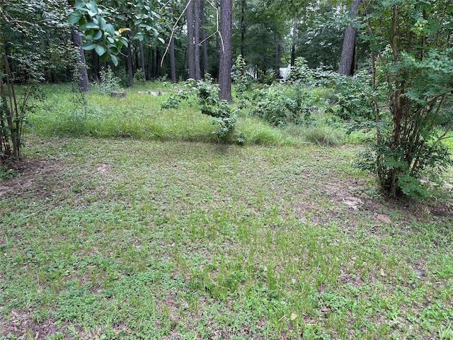 3779 Spring Dr, Huntsville, TX 77340