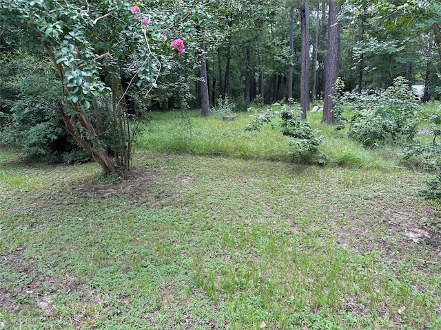 3779 Spring Dr, Huntsville, TX 77340