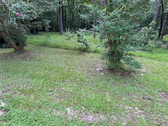 3779 Spring Dr, Huntsville, TX 77340