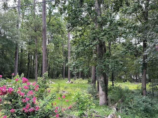 3779 Spring Dr, Huntsville, TX 77340