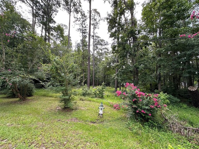3779 Spring Dr, Huntsville, TX 77340