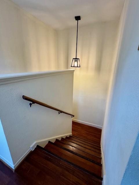 9001 Imogene St Unit A, Houston, TX 77036 - stairway featuring wood finished floors and baseboards