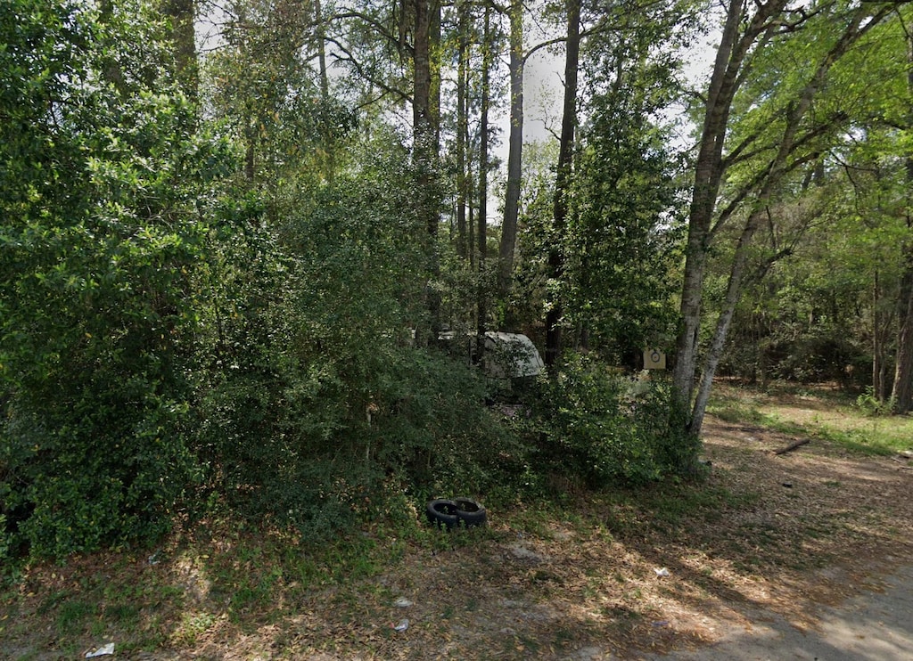 LOT108 Peach Dr, New Caney, TX 77357 - photo 2