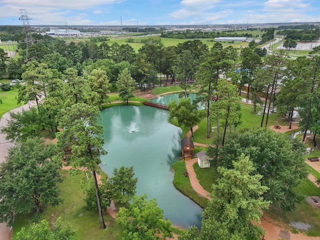 6135 Northway Dr, Spring, TX 77389 - photo 34