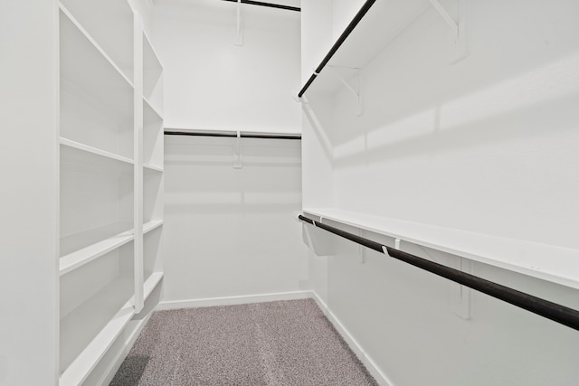 1919 Waters Branch Dr, Missouri City, TX 77459 - spacious closet featuring carpet flooring