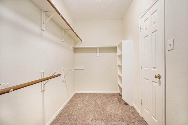 1726 Roaring Springs Ln, Seabrook, TX 77586 - spacious closet with carpet