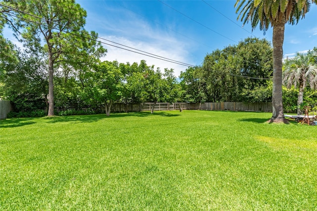 1208 15th Ave N, Texas City, TX 77590 - fenced backyard featuring view of scattered trees