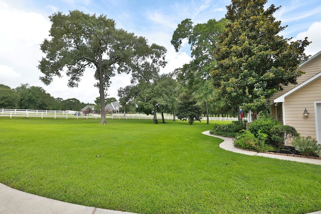 34310 High Point Dr, Magnolia, TX 77355 - view of yard