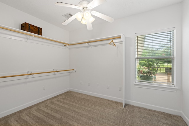 34310 High Point Dr, Magnolia, TX 77355 - walk in closet featuring carpet flooring and a ceiling fan