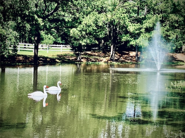 34310 High Point Dr, Magnolia, TX 77355 - water view
