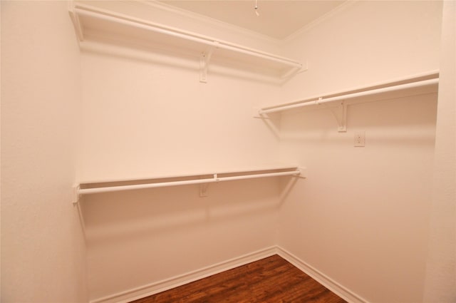 154 Wood Manor Ln, Sour Lake, TX 77659 - walk in closet featuring dark wood-type flooring