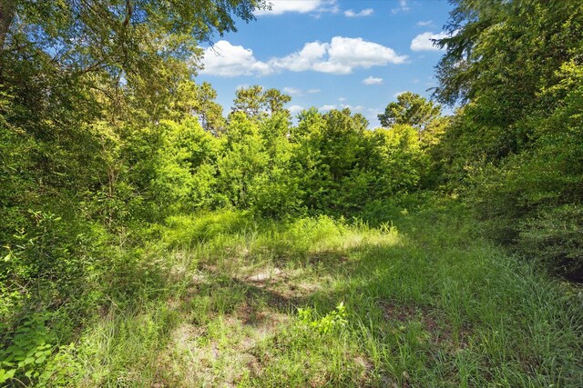 00 County Road 2212, Cleveland, TX 77327 - photo 8