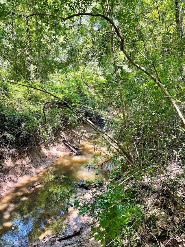 00 County Road 2212, Cleveland, TX 77327 - photo 12