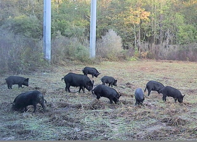 00 County Road 2212, Cleveland, TX 77327 - photo 19