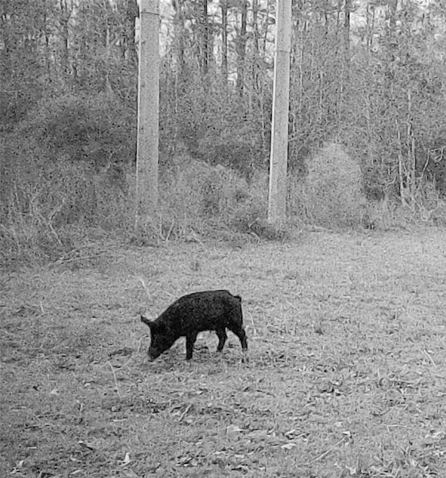00 County Road 2212, Cleveland, TX 77327 - photo 20