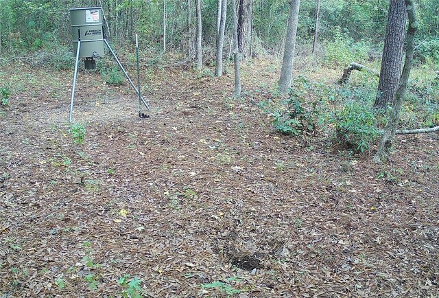 00 County Road 2212, Cleveland, TX 77327 - photo 13