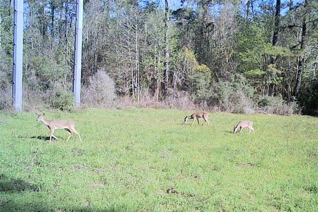 00 County Road 2212, Cleveland, TX 77327 - photo 16