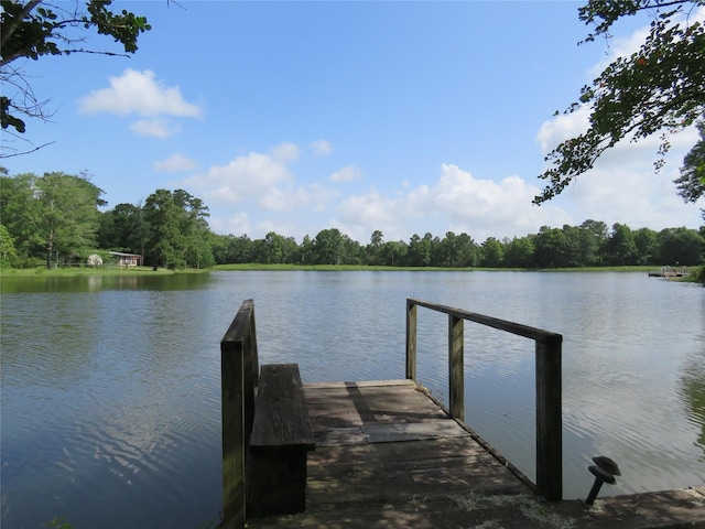 15255 Austin Rd, Willis, TX 77378 - photo 1